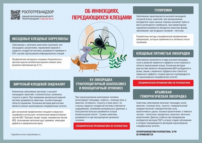 С наступлением весны начинается сезон активности клещей, причиняющих вред здоровью населения. В чем опасность При укусе клеща человек может заразиться различными инфекциями. Наиболее опасными из них являются клещевой энцефалит, боррелиоз (болезнь Лайма),. С наступлением весны начинается сезон активности клещей, причиняющих вред здоровью населения. В чем опасность При укусе клеща человек может заразиться различными инфекциями. Наиболее опасными из них являются клещевой энцефалит, боррелиоз (болезнь Лайма),.